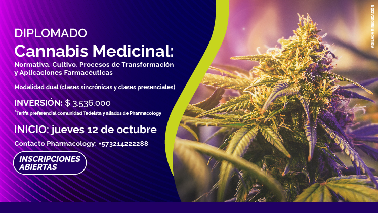 Cannabis Medicinal Normativa Cultivo Procesos de Transformación y